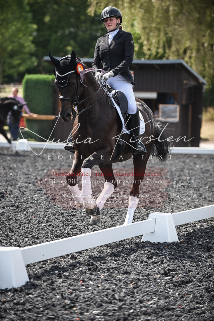 DSC_5172 | Pferde- und Turnierfotografie in Westsachsen. Pferdeportraits, Auftragszeichnungen und intuitive Kunst.