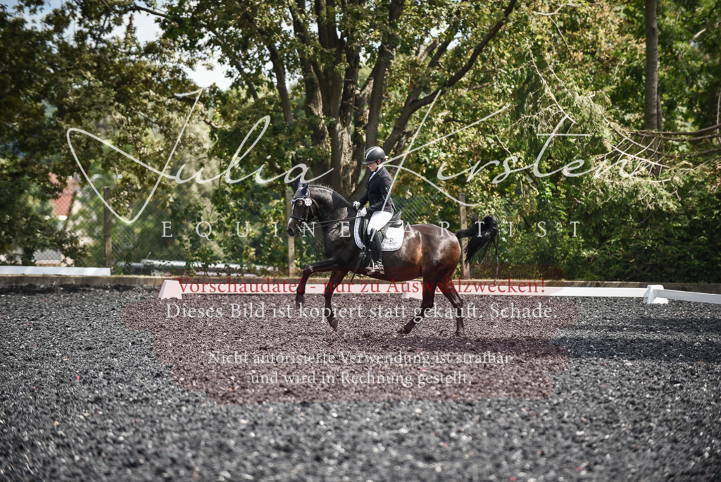 DSC_5109 | Pferde- und Turnierfotografie in Westsachsen. Pferdeportraits, Auftragszeichnungen und intuitive Kunst.