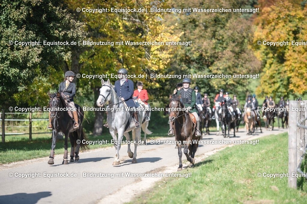 20251011_Jagd-Marbach_0594 | Foto: Thomas Hartig
