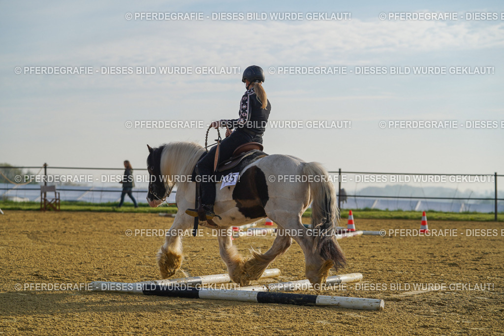 DSC00187 | Pferdegrafie