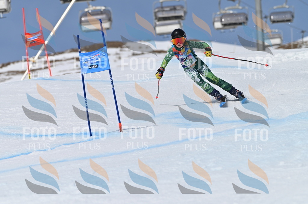 BGV_7348 | holidayphoto