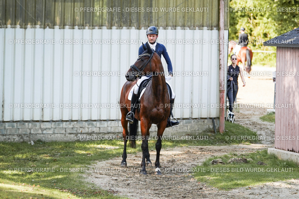 DSC08757 | Pferdegrafie