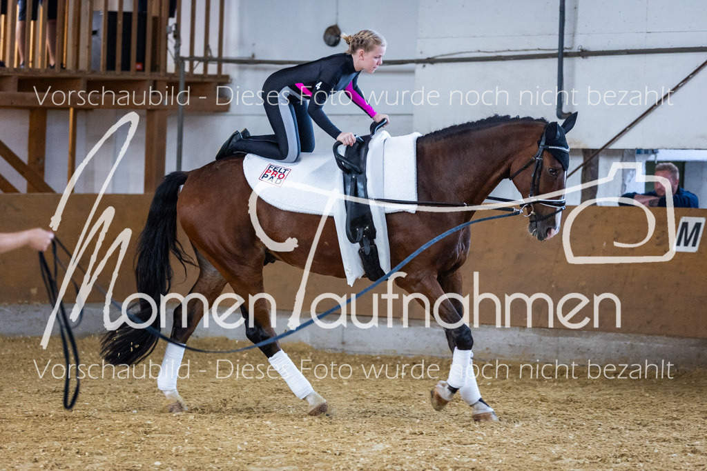 GS-Einsteiger-058 | MomenTaufnahmen Pferdesportfotos