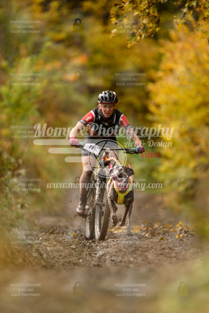 MompixPhotography_ICF_WC_2024_SA_Bike_-82 | PayLife