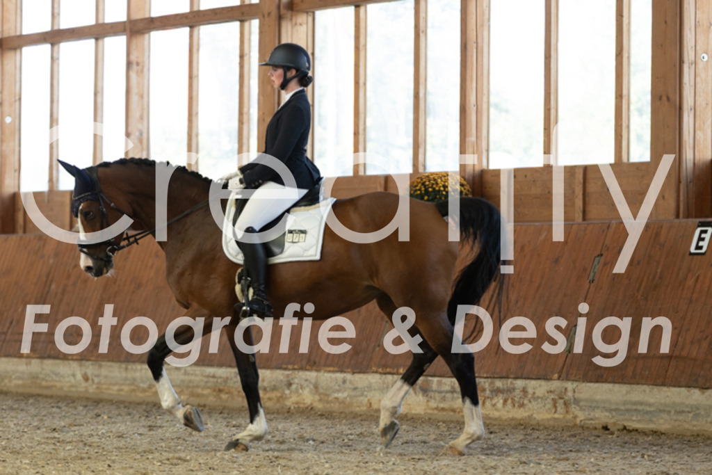 IMG_5039 | Creatify Fotografie