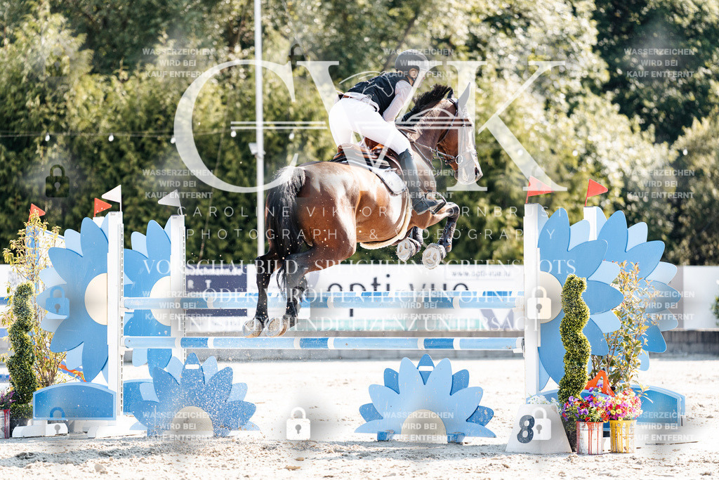CK902237 | Turnierfotografie Pferdefotografie Trier Rheinland-Pfalz Pferdesport Reitsport Tierfotografie Sportfotografie Pferdevideo Pferdevideografie Equestrianvideography equestrianphotography  - Realisiert mit Pictrs.com