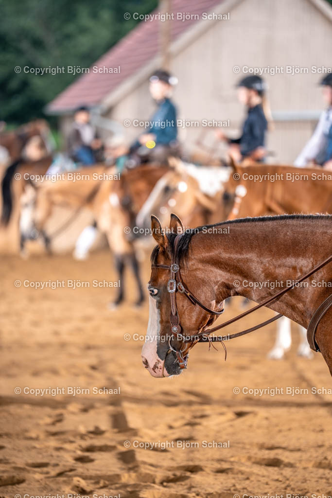 LMS00714 | BS-foto