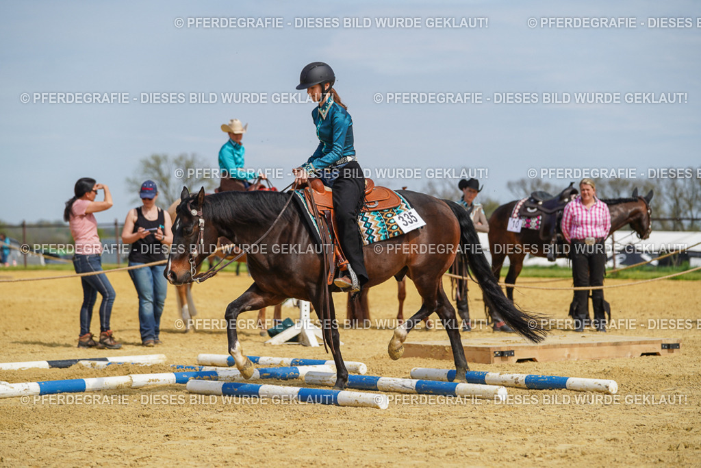 DSC04371 | Pferdegrafie