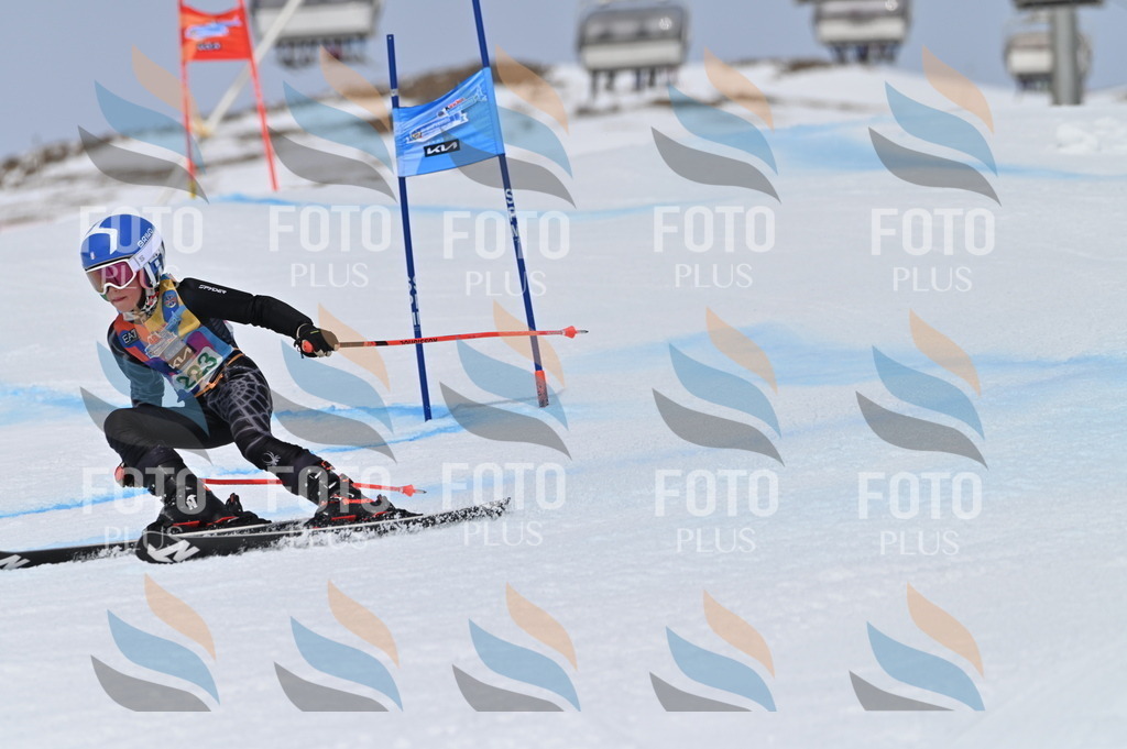 BGV_4388 | holidayphoto