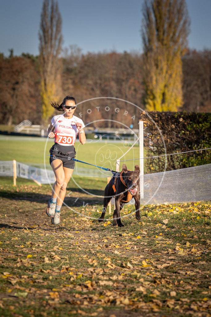 CaniXpix_DV3A2028 | Hundefotografie, Tierfotograf, Pfotenfotografie, Fotoshooting Hund, Hunde Portrait, Hundesport, Hundeportraits, Heideshooting, Hunde, Sportfotograf, Hundefotograf, Turnierhundsport, THS,  - Realisiert mit Pictrs.com