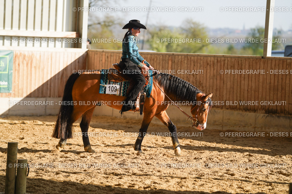 DSC09323 | Pferdegrafie