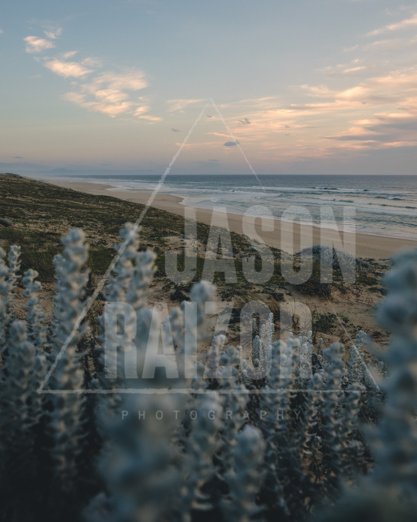 DSCF0132-2 | jasonraizor - Realisiert mit Pictrs.com