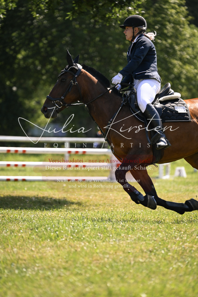 DSC_8920 | Pferde- und Turnierfotografie in Westsachsen. Pferdeportraits, Auftragszeichnungen und intuitive Kunst.