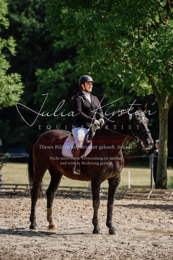 DSC_0163 | Pferde- und Turnierfotografie in Westsachsen. Pferdeportraits, Auftragszeichnungen und intuitive Kunst.