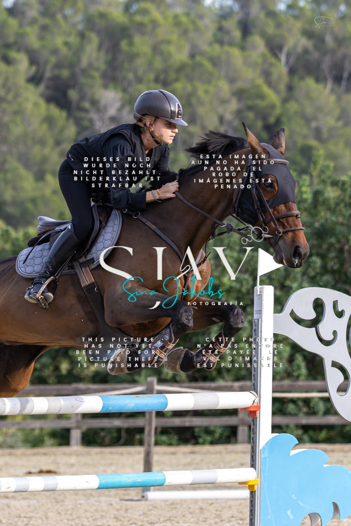 IMG_4890 | s-jay-photography - Realisiert mit Pictrs.com