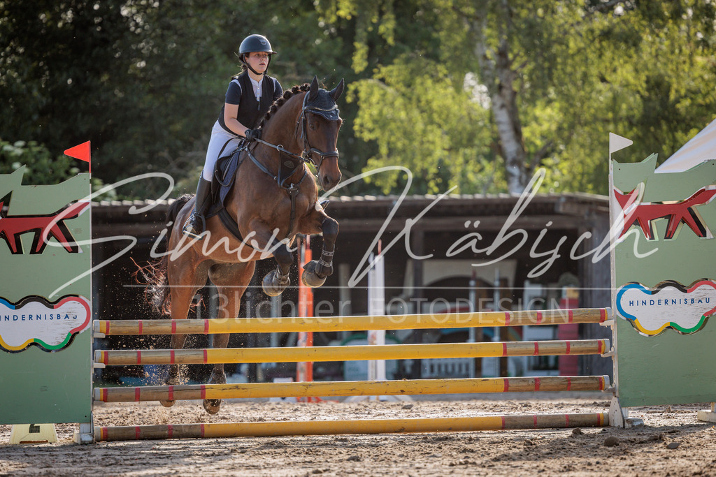 20260529-_3LI0819 | Tierfotografie Pferde, Hunde, Katzen, Haustiere.
Turnierfotografie Reitturniere, Reiten, Springreiten, Dressur in Hanau, dem Main-Kinzig-Kreis und dem Rhein-Main- Gebiet um Frankfurt