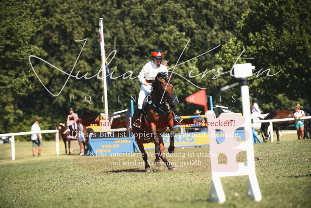 DSC_7400 | Pferde- und Turnierfotografie in Westsachsen. Pferdeportraits, Auftragszeichnungen und intuitive Kunst.