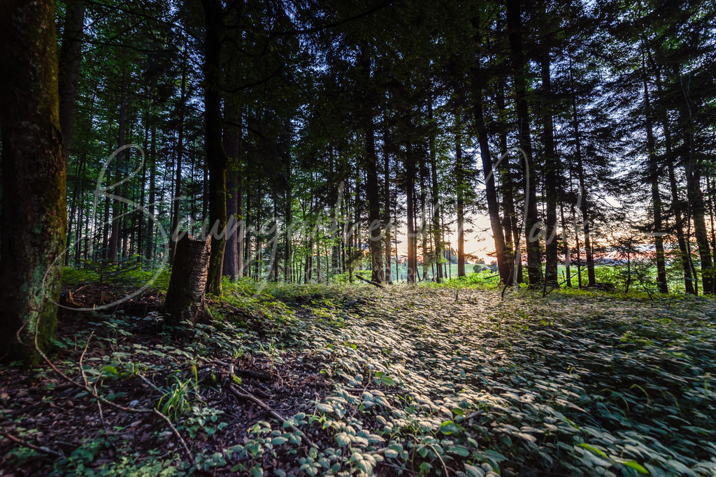 _DSC3561-HDR | Baumgartner Markus Fotografie