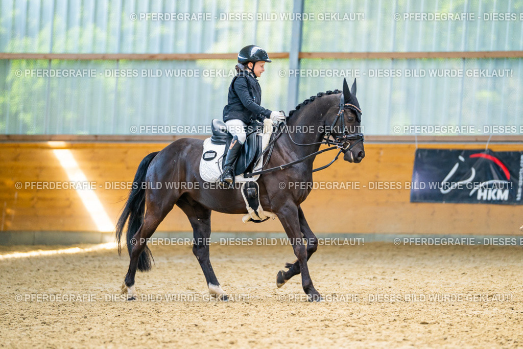 DSC08986 | Pferdegrafie