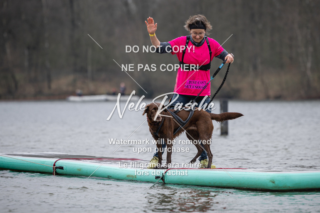 nelerasche_Hulsbeek_Sa1515-1600_60 | nelerasche