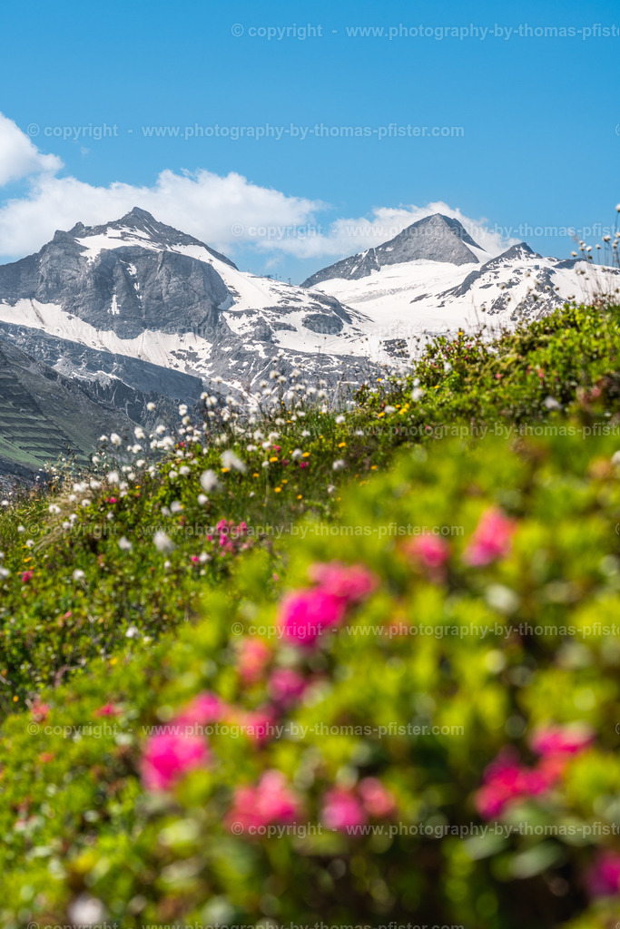 Blick zum Olperer copyright  Thomas Pfister-3 | PHOTOGRAPHY BY THOMAS PFISTER