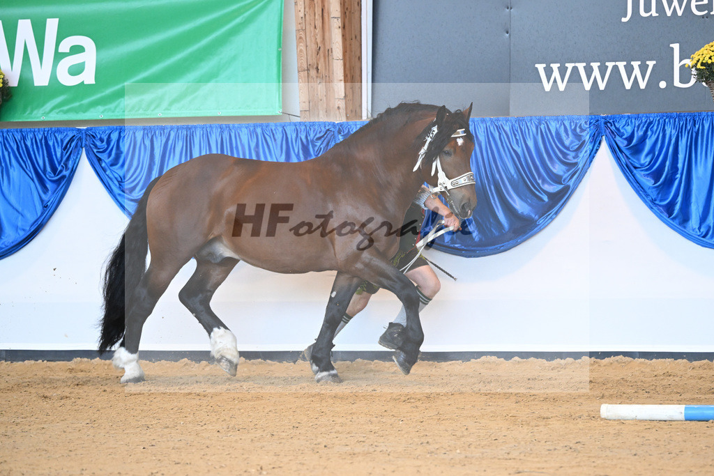 Kat-Nr. 95 Ratz Fatz_Linortner_53220593 | hf-fotografie - Realisiert mit Pictrs.com