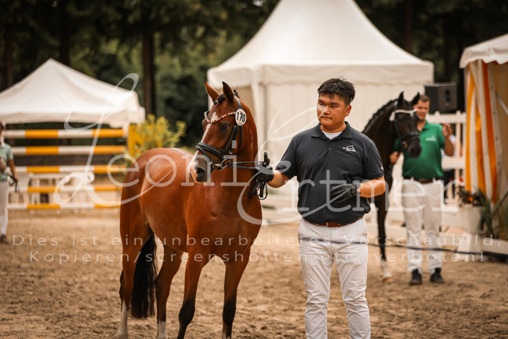 12.So00109 | Leoni Ertmer Photography - Realisiert mit Pictrs.com