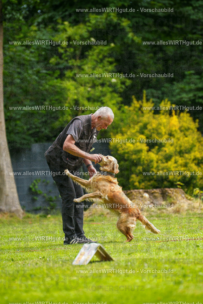 @allesWIRTHgut_Tierfotografie - www.allesWIRTHgut.de - 093439-7R507352 | Professionelle Tierfotografie in Mönchengladbach von Daniel Wirth (allesWIRTHgut). Liebevolle & natürliche Bilder von Hunden & Katzen für unvergessliche Erinnerungen.