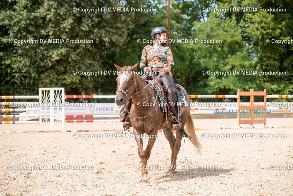 EWP_6697 | dv-media-shop - Realisiert mit Pictrs.com