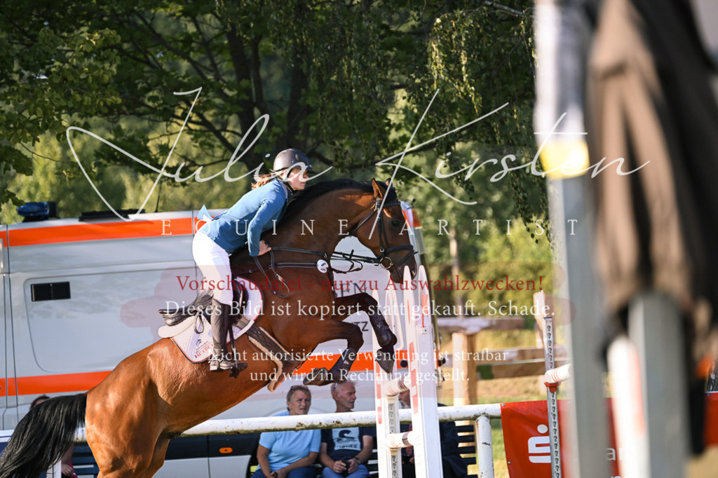 DSC_1794 | Pferde- und Turnierfotografie in Westsachsen. Pferdeportraits, Auftragszeichnungen und intuitive Kunst.