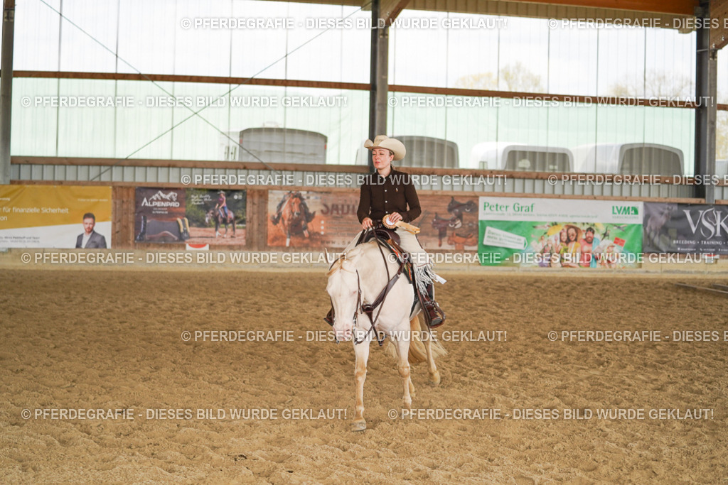 DSC02330 | Pferdegrafie