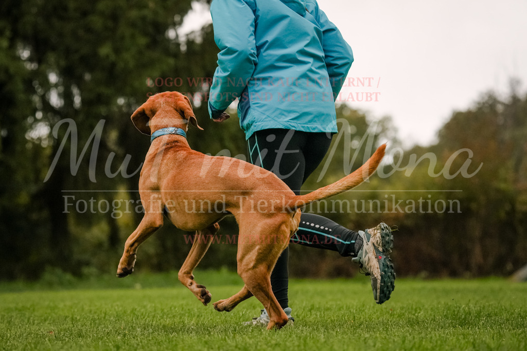 20251005_THS_Turnier-534 | MuT (Mensch und Tier) mit Mona - Fotografie und Tierkommunikation - Realisiert mit Pictrs.com