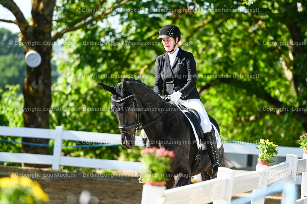 20230715_06_Dressurpferdeprfg. Kl.A_0013 | equistock