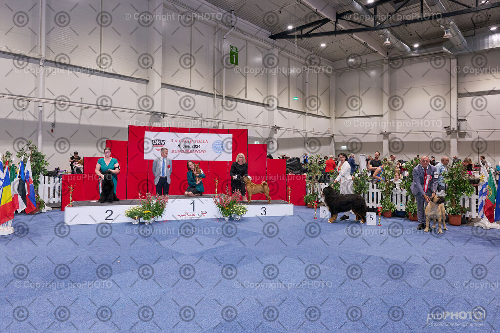 202406_ÖKV-IHA-Tulln24_NZ9_9500 | proPHOTO - Realisiert mit Pictrs.com