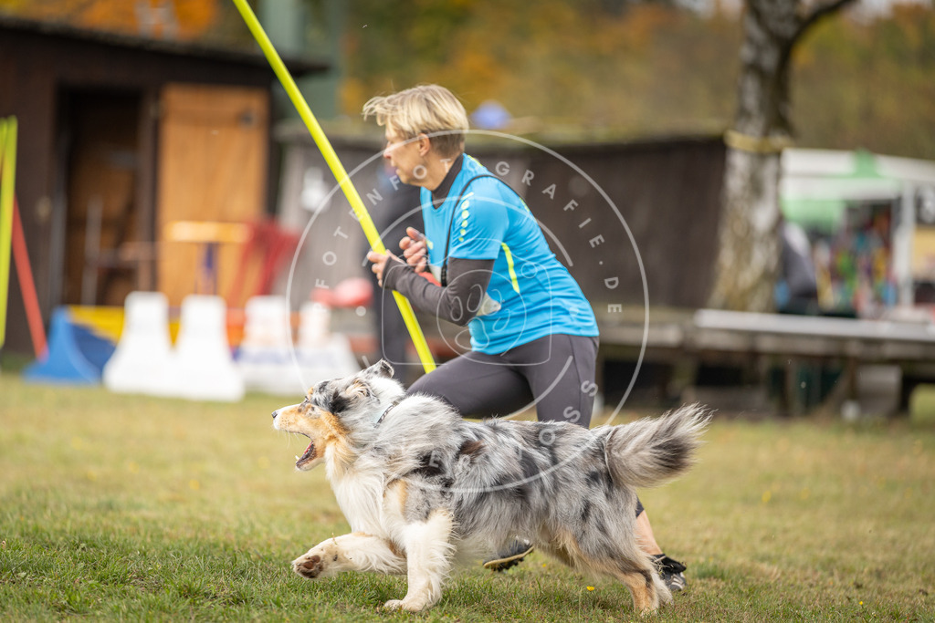 Pfotenfotografie_DV3A5446 | Hundefotografie, Tierfotograf, Pfotenfotografie, Fotoshooting Hund, Hunde Portrait, Hundesport, Hundeportraits, Heideshooting, Hunde, Sportfotograf, Hundefotograf, Turnierhundsport, THS,  - Realisiert mit Pictrs.com
