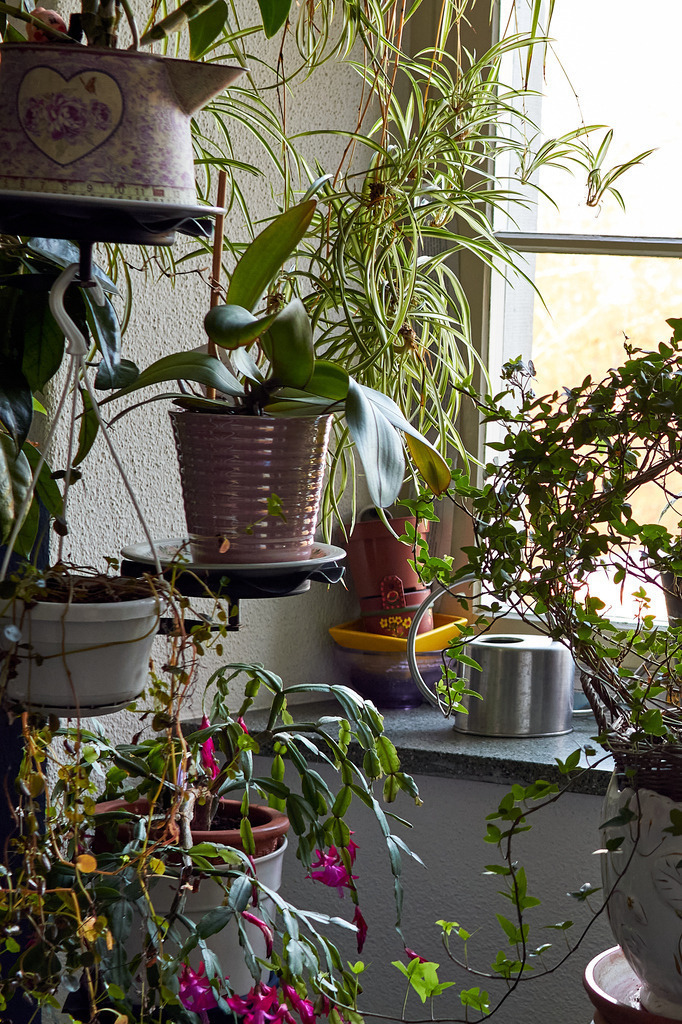 Das alte Atelierhaus 8 | Ich erzähle Geschichten als Autor und als Fotograf. Hier finden Sie hochwertige Naturfotografie, Reisefotografien und Bilder aus dem urbanen Lebensraum.  - Realisiert mit Pictrs.com