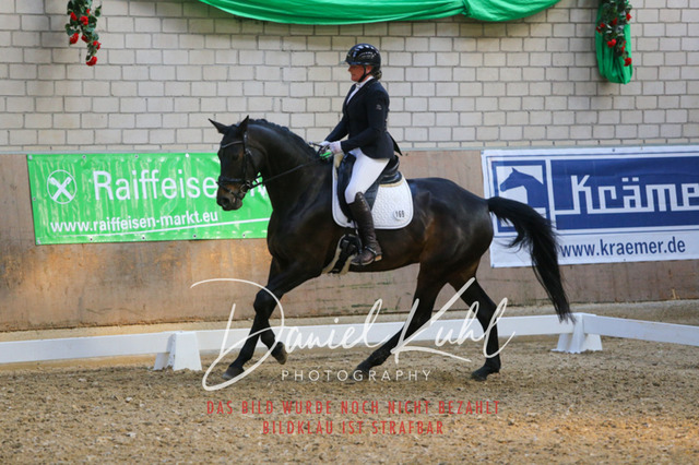 IMG_2637 | Turnierfotos kaufen im Webshop von Daniel Kuhl Photography – entdecke professionelle Reitsportfotos aus Turnieren & Events. Hochwertige Turnierbilder online bestellen & sichern. Jetzt Fotos von Reitsportturnieren kaufen!