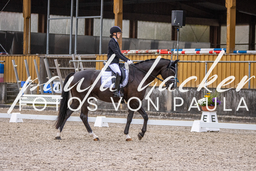 IMG_2622 | Erleben Sie dynamische Sport- und emotionale Tierfotografie in Süddeutschland mit Fotos von Paula. Spezialisiert auf Pferde- und Hundefotografie sowie Sportevents. Kontaktieren Sie mich für einzigartige und ausdrucksstarke Bilder Ihrer besonderen Momente. - Realisiert mit Pictrs.com