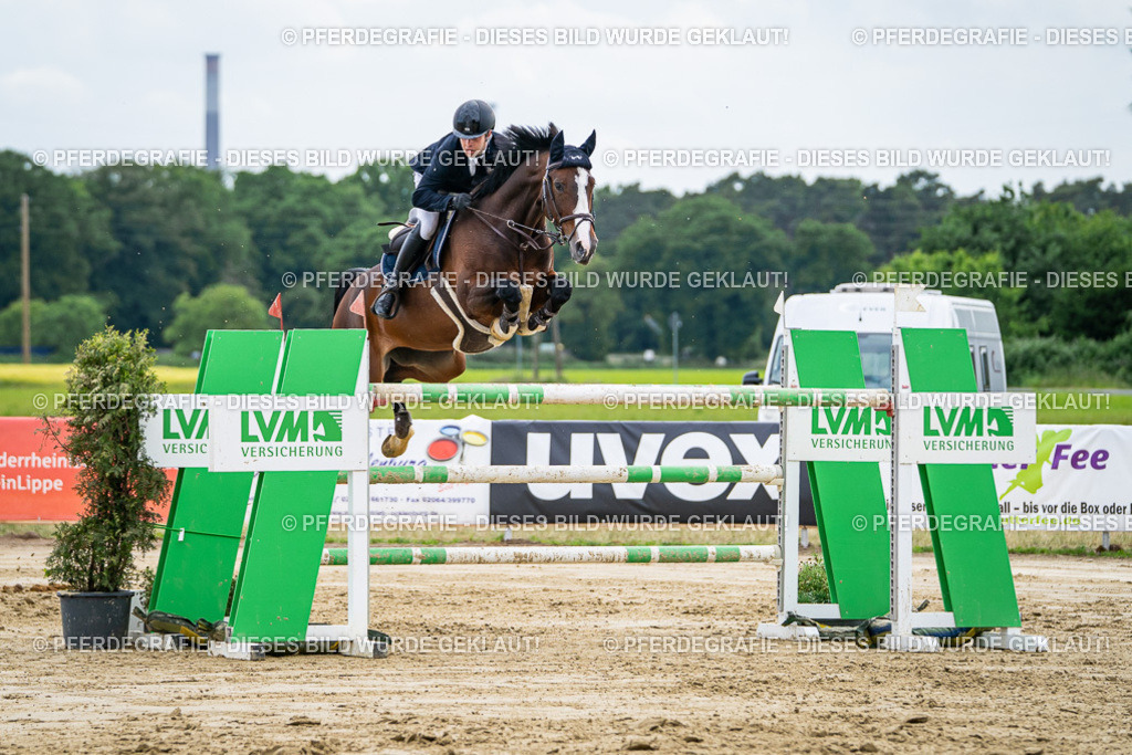 DSC07212 | Pferdegrafie