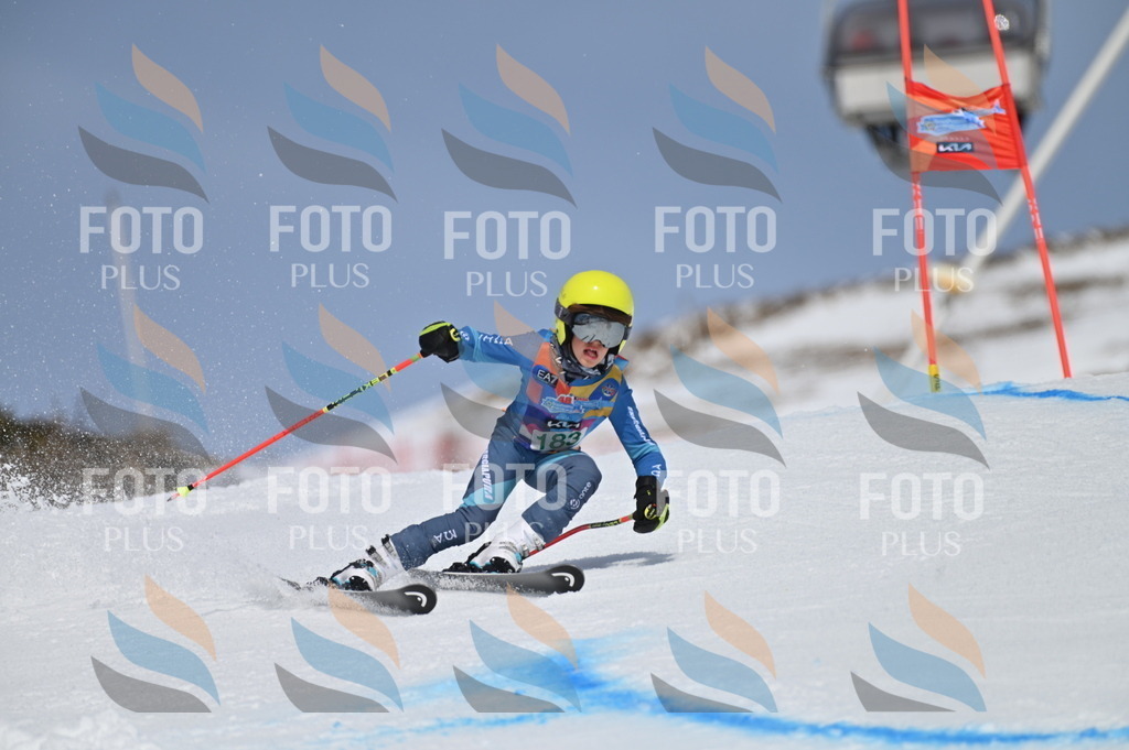 BGV_3583 | holidayphoto