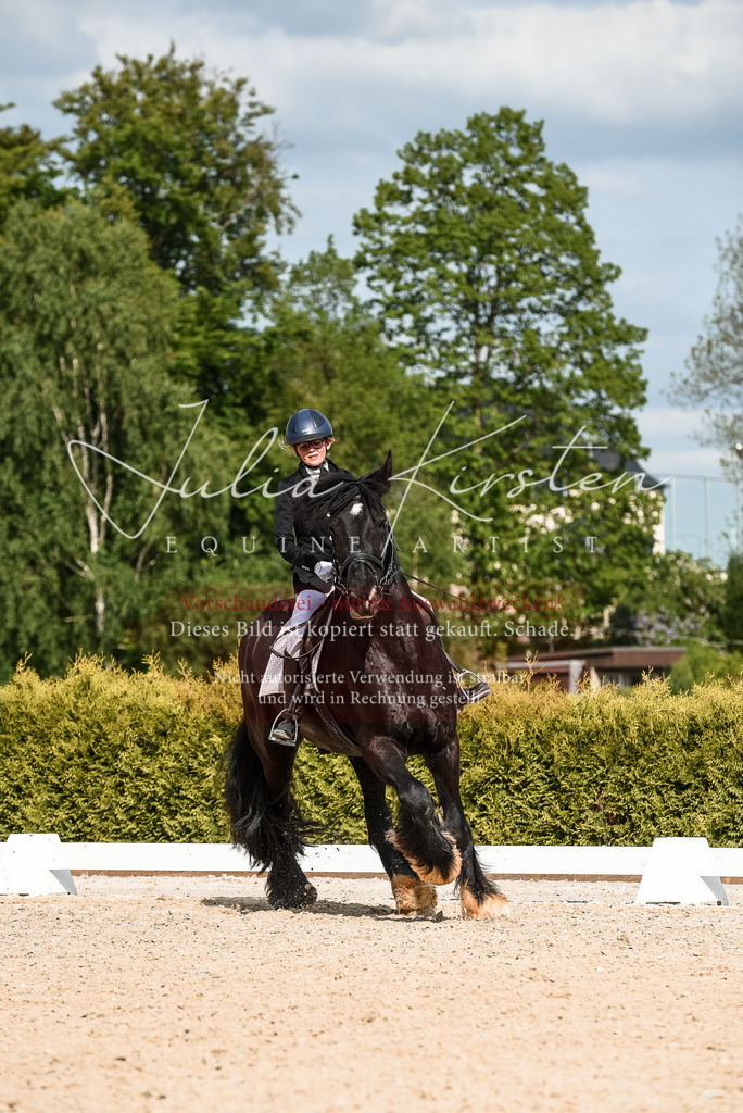 20230518_JK-Röhrsdorf-12-0452 | Pferde- und Turnierfotografie in Westsachsen. Pferdeportraits, Auftragszeichnungen und intuitive Kunst.
