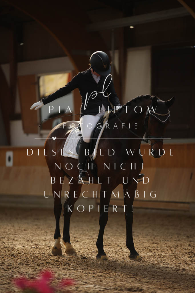 IMGS3814 | pl-fotografie