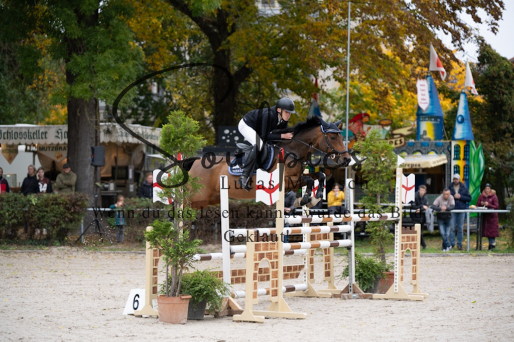 A7V00802 | Pferdefotograf