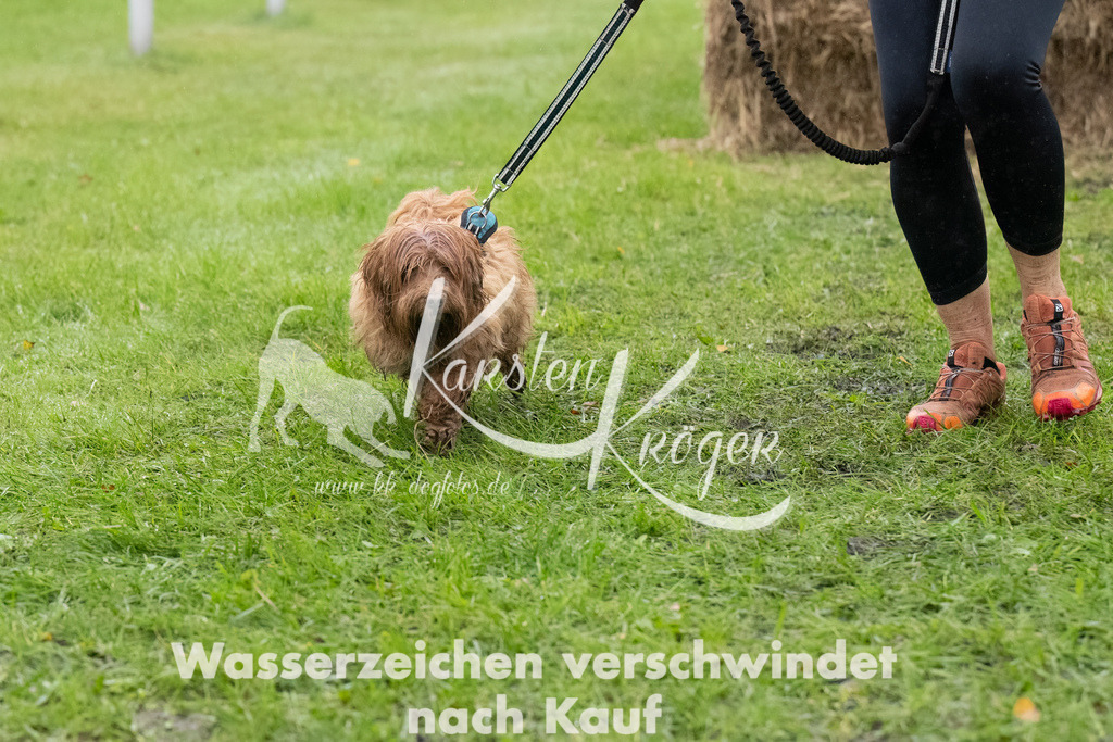 0956-_ZZ90065-Bearbeitet | kk-dogfotos