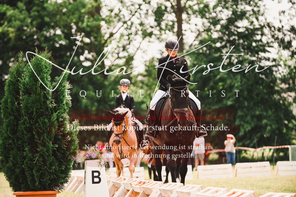 DSC_6226 | Pferde- und Turnierfotografie in Westsachsen. Pferdeportraits, Auftragszeichnungen und intuitive Kunst.