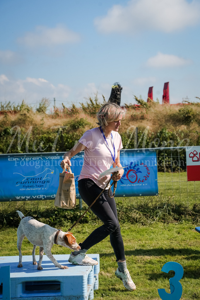 20250928_Hunderennen-731 | MuT (Mensch und Tier) mit Mona - Fotografie und Tierkommunikation - Realisiert mit Pictrs.com