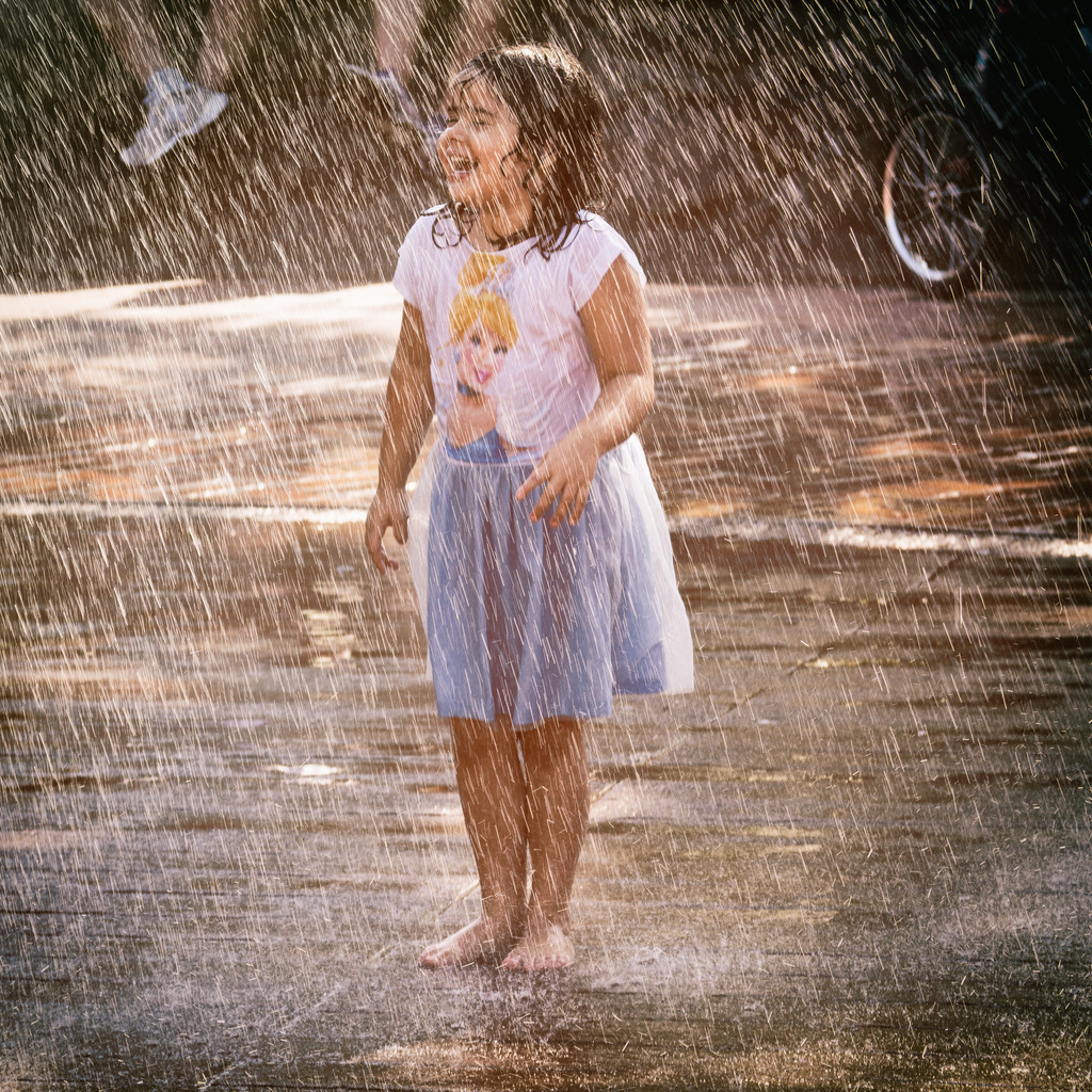 PB171900 | OLYMPUS DIGITAL CAMERA