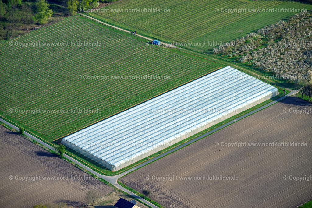 Horneburg_Obstplantage_In_Folie_Eingepackt_ELS_0330010523 | HORNEBURG 01.05.2023 Obstanbau- Plantage auf einem Feld mit Planen eigehüllt in Horneburg im Bundesland Niedersachsen, Deutschland. // Obstanbau- Plantage auf einem Feld mit Planen eigehuellt in Horneburg im Bundesland Niedersachsen, Deutschland. Foto: Martin Elsen