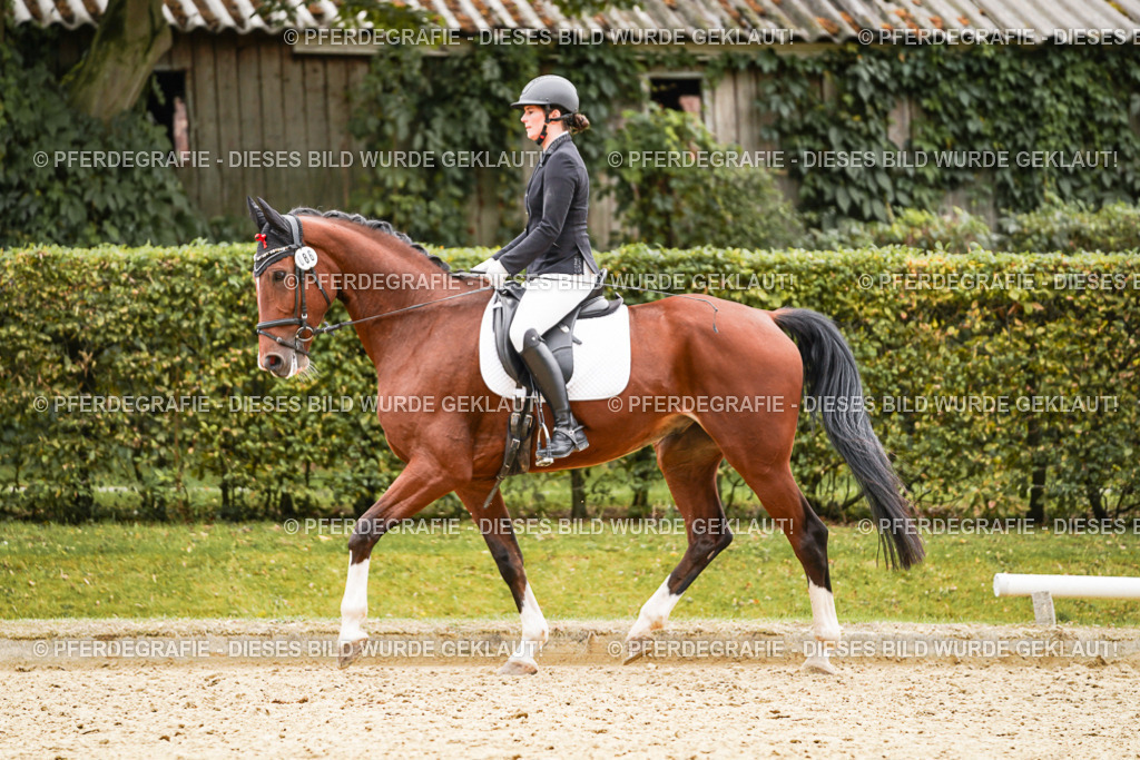 DSC03219 | Pferdegrafie