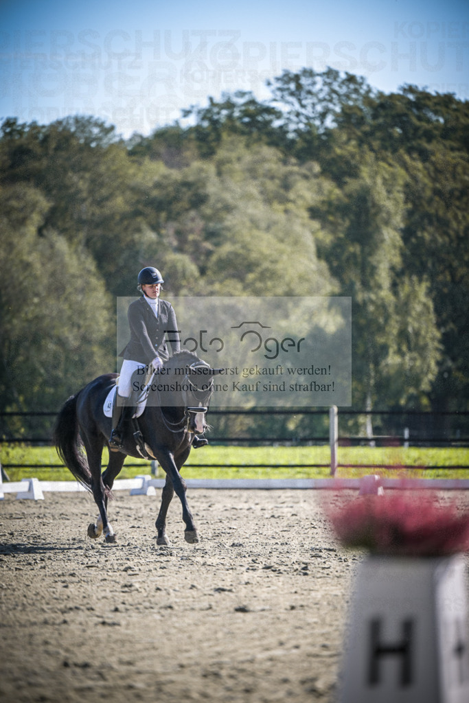 DOS_1902 | Entdecke hochwertige Reitturnierfotos von Foto Oger. Professionell, emotional und authentisch – jetzt Lieblingsmomente im Shop bestellen.Deutschlandweite Turnierfotografie. - Realisiert mit Pictrs.com